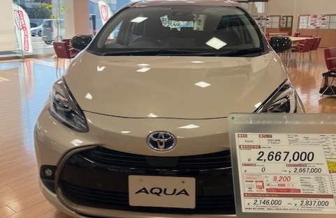 試乗可　綺麗なレアカラー　HYDEE.B　アシスト領域拡大仕様　整備済　埼玉上尾 入荷情報