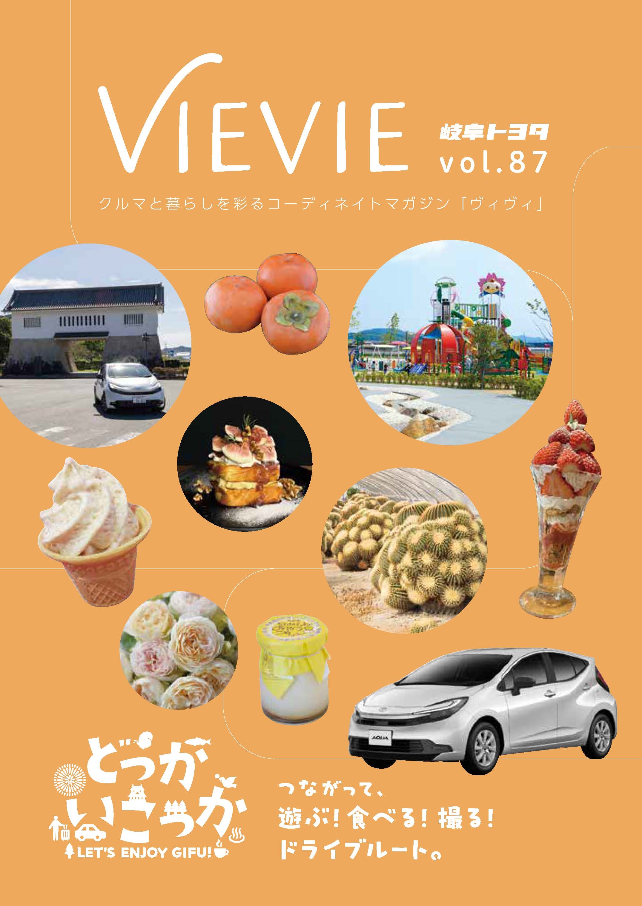 VieVie_87 | 岐阜トヨタ